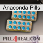 Anaconda Pills new08